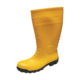 18229